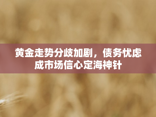 黄金走势分歧加剧，债务忧虑成市场信心定海神针