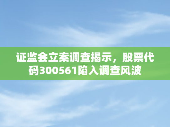 证监会立案调查揭示，股票代码300561陷入调查风波