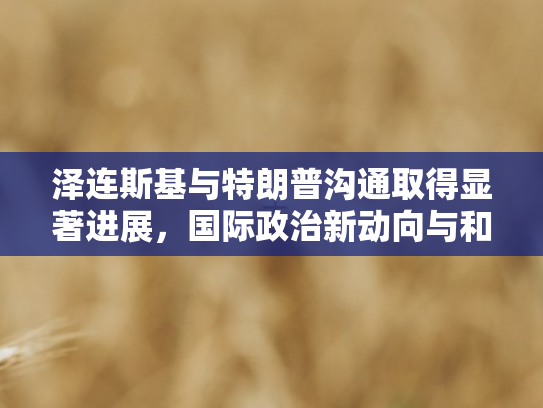 泽连斯基与特朗普沟通取得显著进展，国际政治新动向与和平曙光