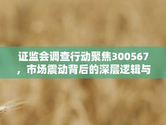 证监会调查行动聚焦300567	，市场震动背后的深层逻辑与未来走向