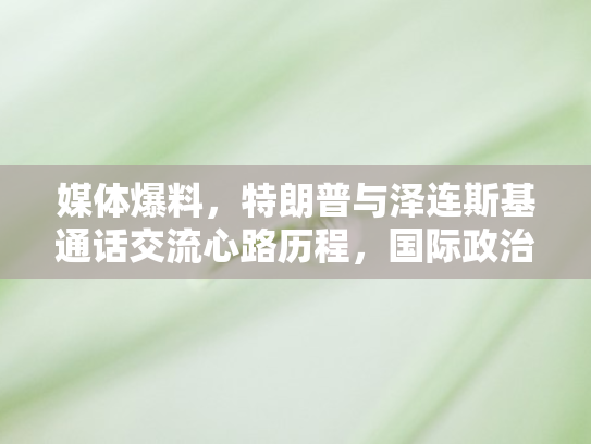 媒体爆料	，特朗普与泽连斯基通话交流心路历程，国际政治舞台上的微妙互动