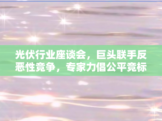 光伏行业座谈会，巨头联手反恶性竞争	，专家力倡公平竞标新风尚