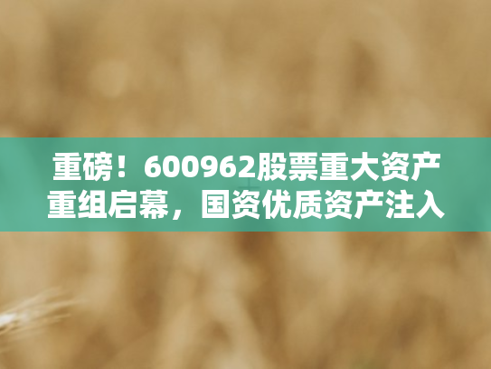 重磅！600962股票重大资产重组启幕，国资优质资产注入引领价值跃升