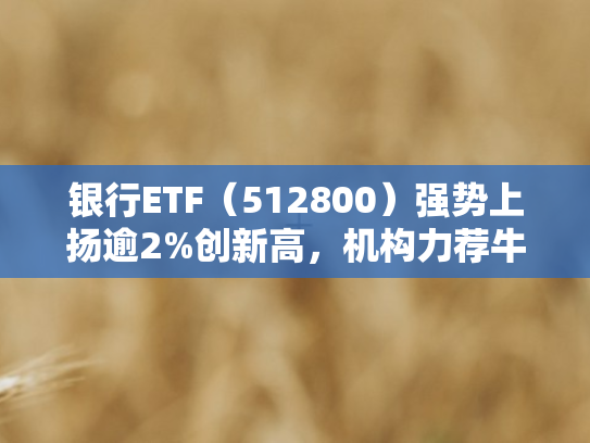 银行ETF（512800）强势上扬逾2%创新高，机构力荐牛市思维聚焦银行业