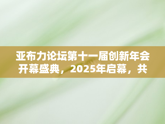 亚布力论坛第十一届创新年会开幕盛典，2025年启幕	，共绘创新发展新蓝图