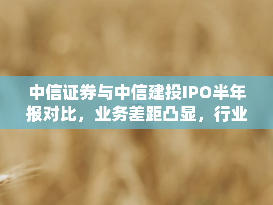中信证券与中信建投IPO半年报对比，业务差距凸显，行业格局生变
