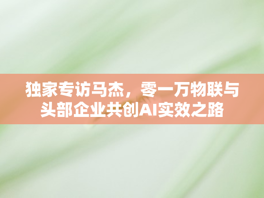 独家专访马杰，零一万物联与头部企业共创AI实效之路