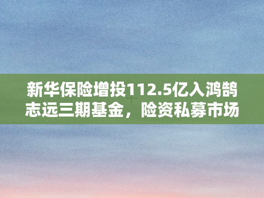 新华保险增投112.5亿入鸿鹄志远三期基金，险资私募市场再迎发展新引擎