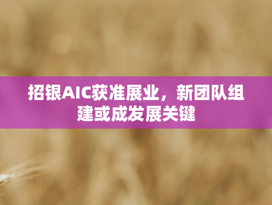 招银AIC获准展业，新团队组建或成发展关键