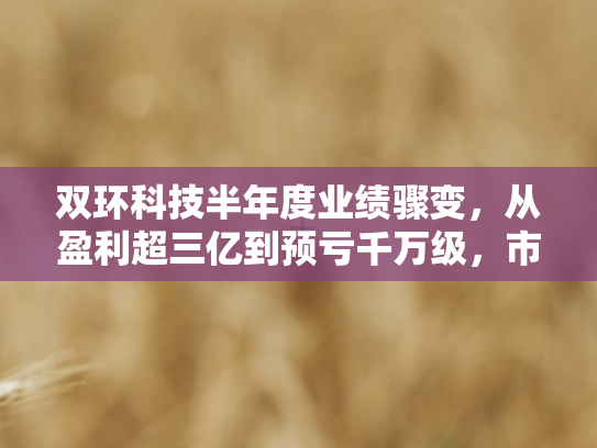 双环科技半年度业绩骤变	，从盈利超三亿到预亏千万级，市场震动背后的深层剖析
