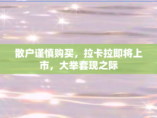 散户谨慎购买，拉卡拉即将上市	，大举套现之际