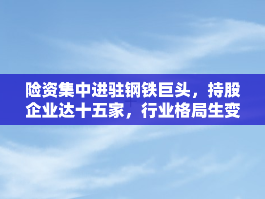 险资集中进驻钢铁巨头，持股企业达十五家	，行业格局生变与投资新动向