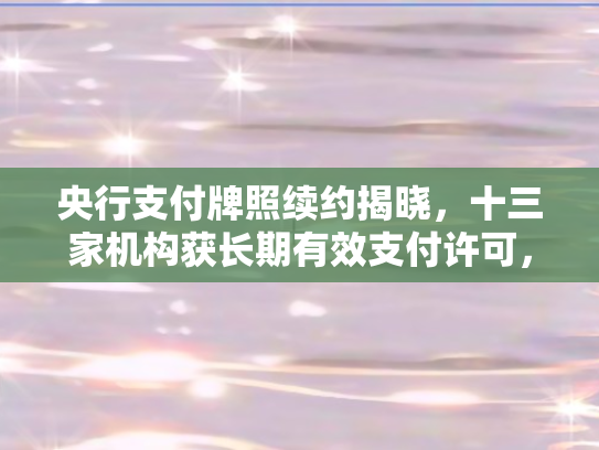 央行支付牌照续约揭晓	，十三家机构获长期有效支付许可，行业格局再塑