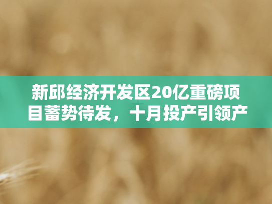 新邱经济开发区20亿重磅项目蓄势待发，十月投产引领产业升级新篇章