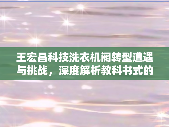 王宏昌科技洗衣机阀转型遭遇与挑战，深度解析教科书式的乐子经历
