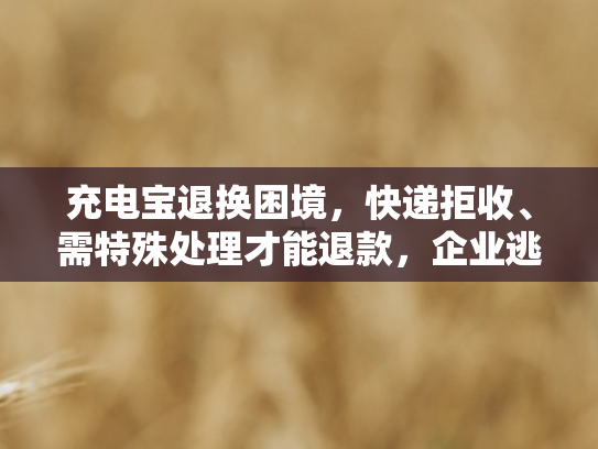 充电宝退换困境，快递拒收、需特殊处理才能退款	，企业逃避安全处置责任