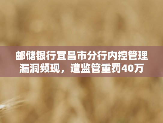 邮储银行宜昌市分行内控管理漏洞频现，遭监管重罚40万元