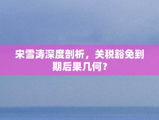 宋雪涛深度剖析，关税豁免到期后果几何？