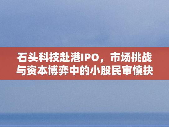 石头科技赴港IPO，市场挑战与资本博弈中的小股民审慎抉择