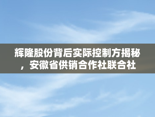 辉隆股份背后实际控制方揭秘，安徽省供销合作社联合社
