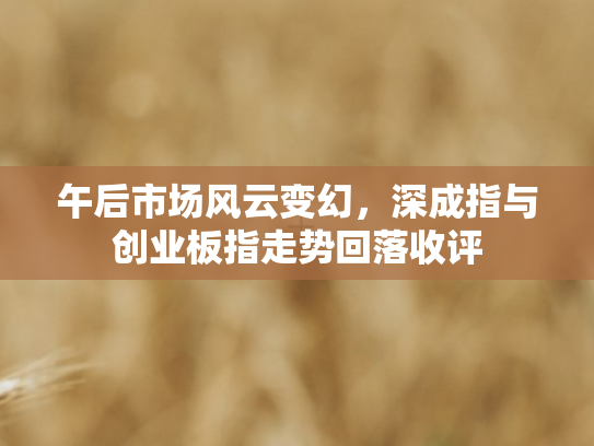 午后市场风云变幻，深成指与创业板指走势回落收评