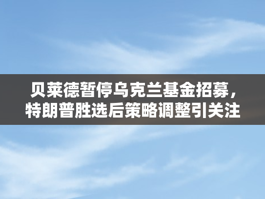 贝莱德暂停乌克兰基金招募，特朗普胜选后策略调整引关注