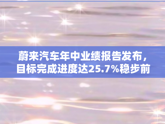 蔚来汽车年中业绩报告发布，目标完成进度达25.7%稳步前行中的挑战与机遇