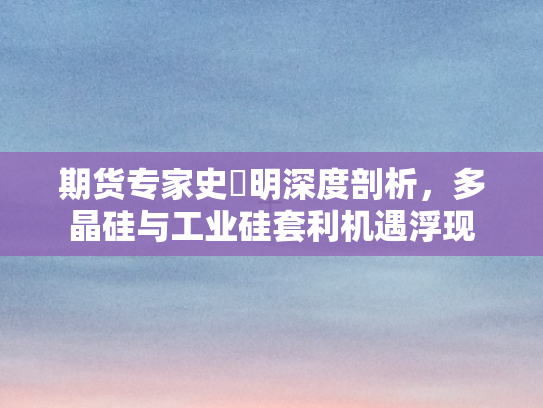 期货专家史玥明深度剖析，多晶硅与工业硅套利机遇浮现