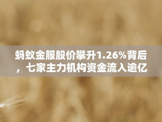 蚂蚁金服股价攀升1.26%背后	，七家主力机构资金流入逾亿元，市场信心回暖