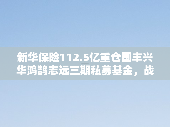 新华保险112.5亿重仓国丰兴华鸿鹄志远三期私募基金，战略布局与行业影响深度解析