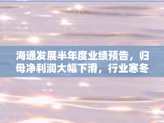 海通发展半年度业绩预告，归母净利润大幅下滑	，行业寒冬下的挑战与应对