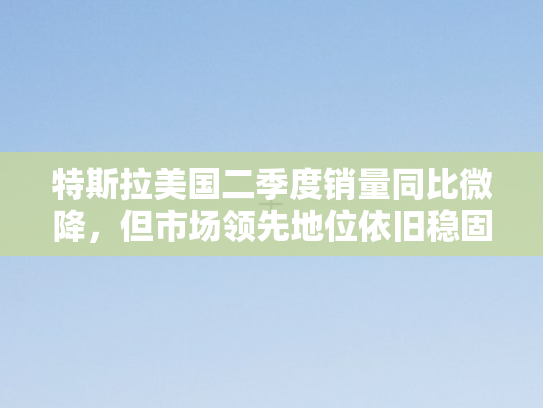 特斯拉美国二季度销量同比微降，但市场领先地位依旧稳固