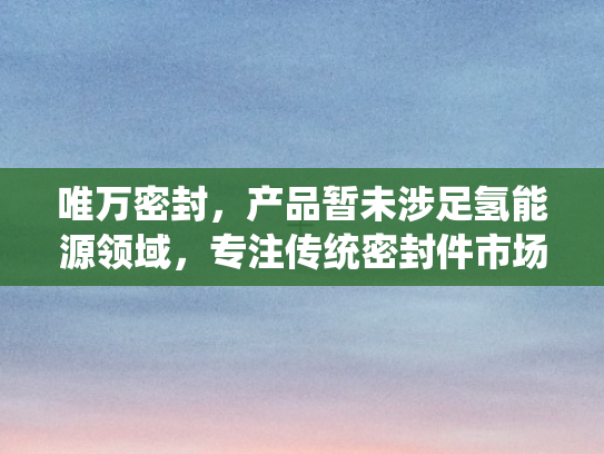 唯万密封	，产品暂未涉足氢能源领域，专注传统密封件市场深耕