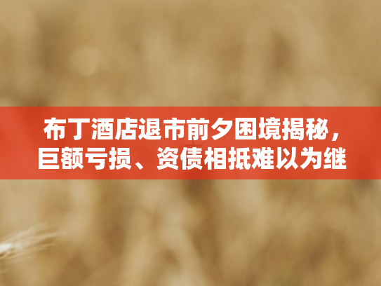 布丁酒店退市前夕困境揭秘，巨额亏损、资债相抵难以为继	，负债率飙升至逾百点