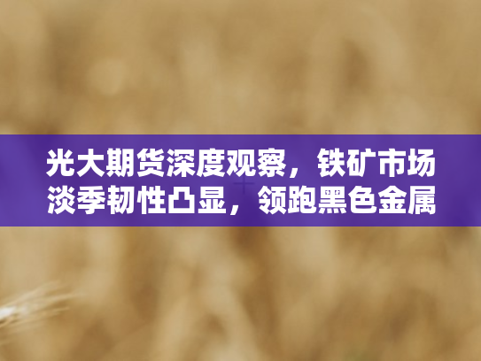 光大期货深度观察，铁矿市场淡季韧性凸显，领跑黑色金属系列