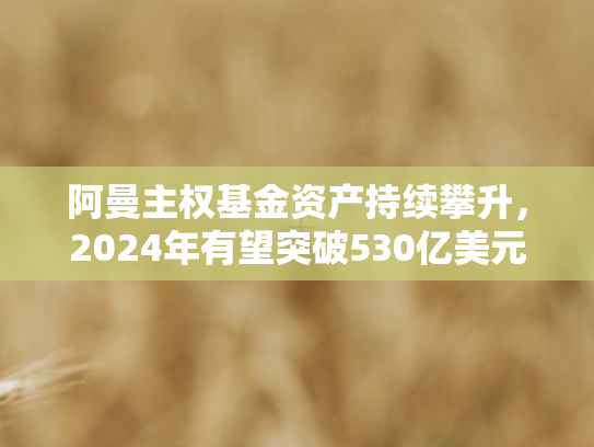 阿曼主权基金资产持续攀升，2024年有望突破530亿美元新高度
