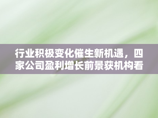 行业积极变化催生新机遇，四家公司盈利增长前景获机构看好