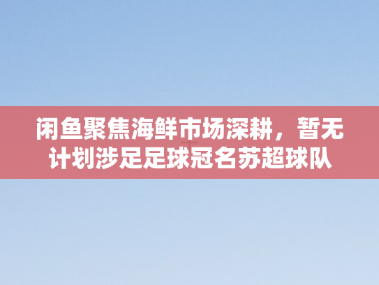 闲鱼聚焦海鲜市场深耕，暂无计划涉足足球冠名苏超球队