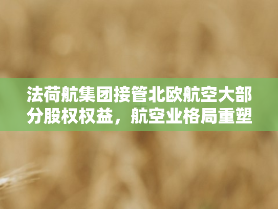 法荷航集团接管北欧航空大部分股权权益，航空业格局重塑与战略考量