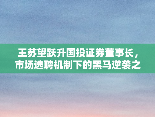 王苏望跃升国投证券董事长，市场选聘机制下的黑马逆袭之路