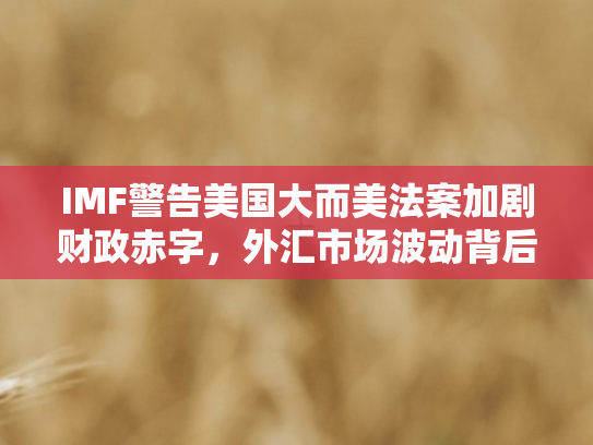 IMF警告美国大而美法案加剧财政赤字，外汇市场波动背后的深度剖析
