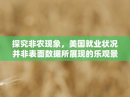 探究非农现象	，美国就业状况并非表面数据所展现的乐观景象