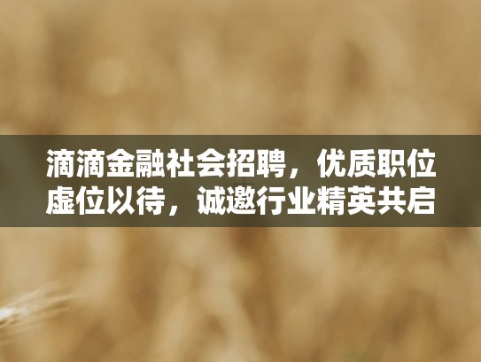 滴滴金融社会招聘，优质职位虚位以待，诚邀行业精英共启新程！