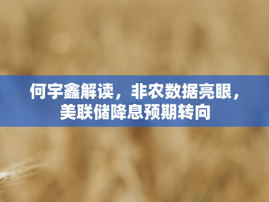 何宇鑫解读，非农数据亮眼	，美联储降息预期转向