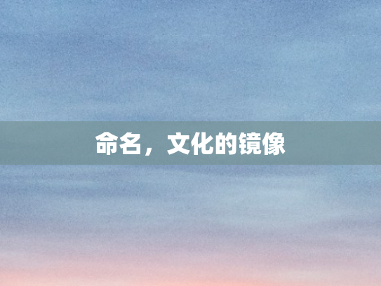 命名，文化的镜像