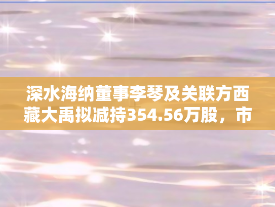 深水海纳董事李琴及关联方西藏大禹拟减持354.56万股，市场反应与未来展望