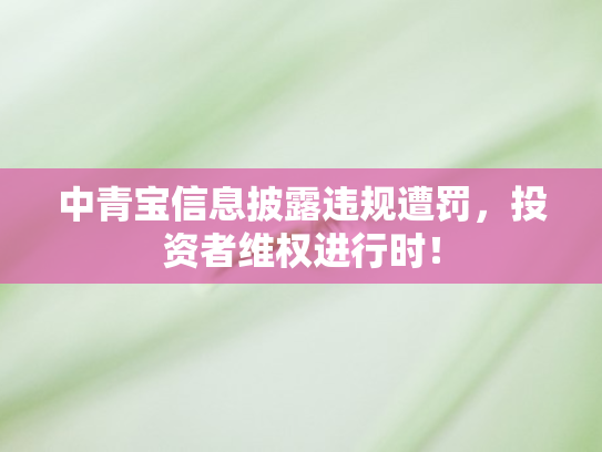 中青宝信息披露违规遭罚，投资者维权进行时！