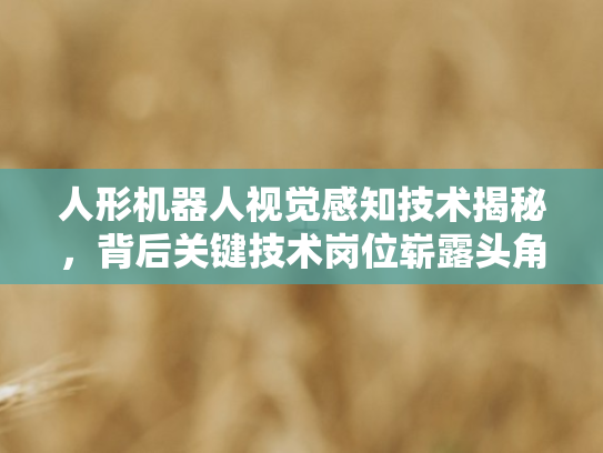 人形机器人视觉感知技术揭秘，背后关键技术岗位崭露头角