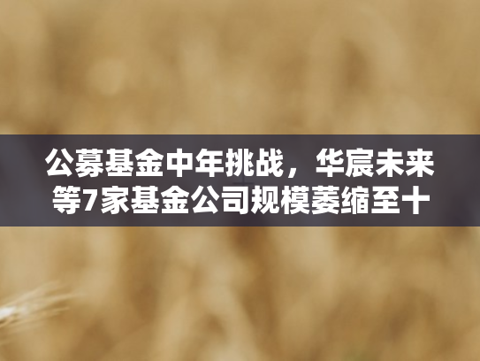 公募基金中年挑战，华宸未来等7家基金公司规模萎缩至十亿边缘