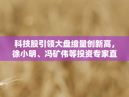 科技股引领大盘缩量创新高	，徐小明、冯矿伟等投资专家直播深度解析市场新动向